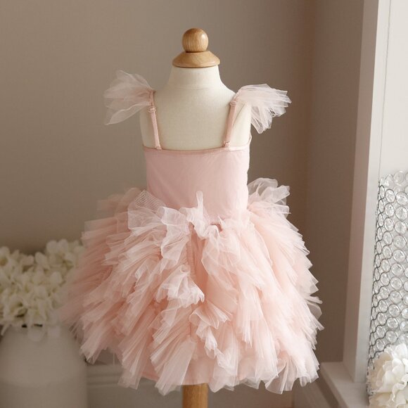 Tutu Du Monde Jaiper Bebe Dress Peony Pink Size 18-24 Months Portraits Party - Picture 3 of 4